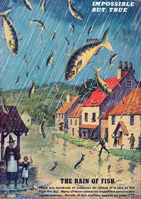 Pluie de poissons